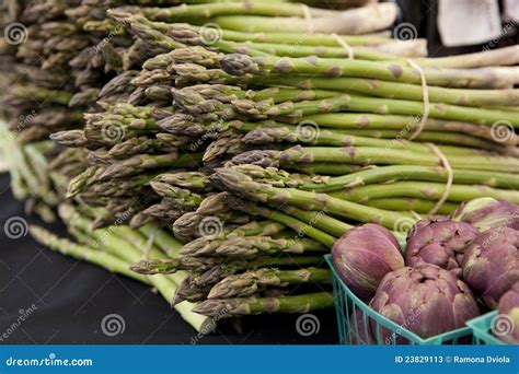 Freshly Harvested Asparagus Spears Stock Image Image Of Farm Freshly