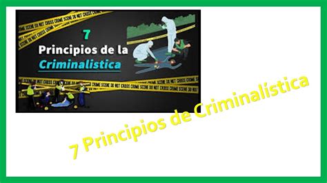 7 Principios Científicos de Criminalística YouTube