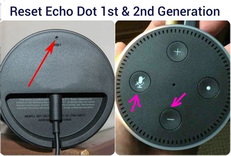 Factory Reset Echo Dot Th Generation