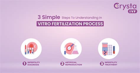 3 Simple Steps To Understand IVF process - Crysta IVF