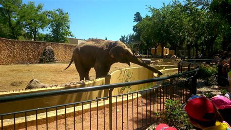 El Pasado 30 De Abril Fuimos A Córdoba Para Visitar El Zoológico De