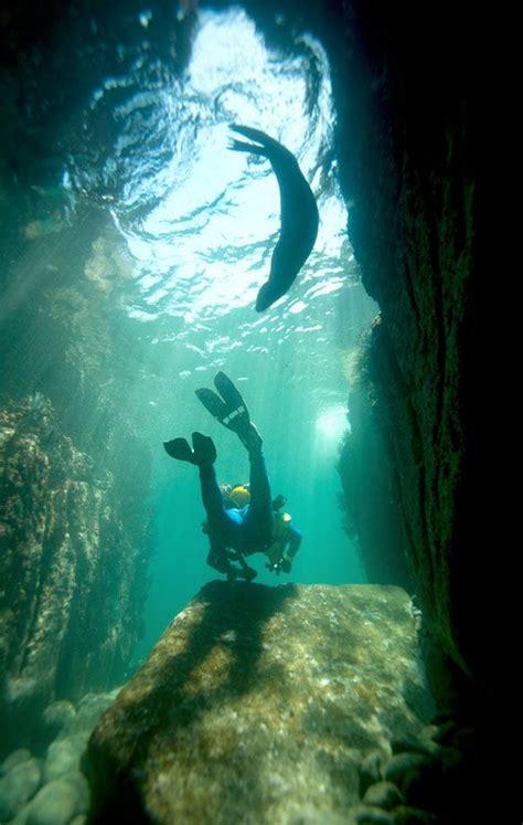 Diving The Arch At Cabo San Lucas I Can Still Picture This Exact Scene