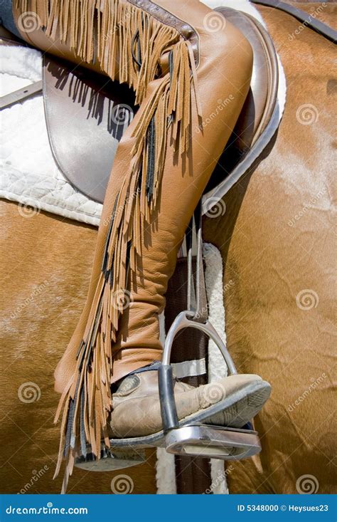 Chaps With Fringe Stock Photo Image Of Equestrian Brown 5348000