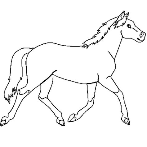 Coloriage Cheval en Ligne Gratuit à imprimer