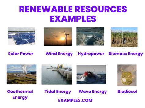 Renewable Resources 20 Examples Definition Types Characteristics