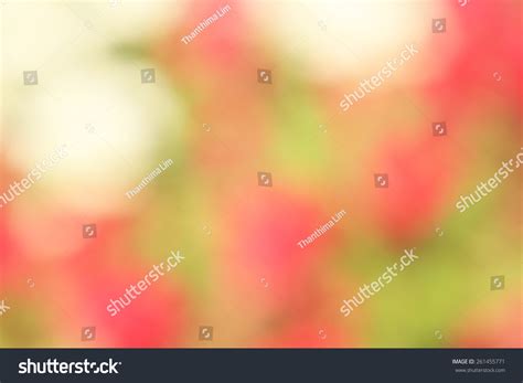 Blurred Flowers Background Stock Photo 261455771 - Shutterstock