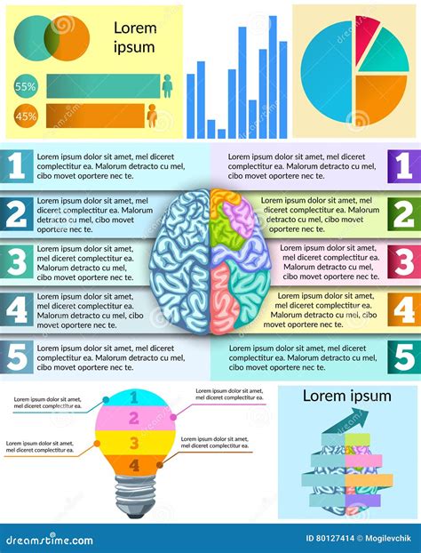 Creative Brain Infographic Stock Vector Illustration Of Head 80127414