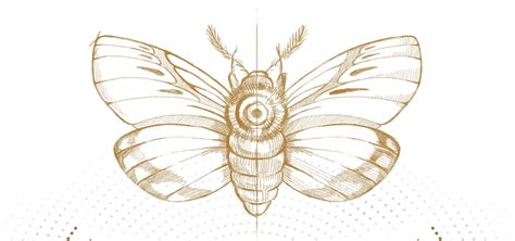 Pest Repeller