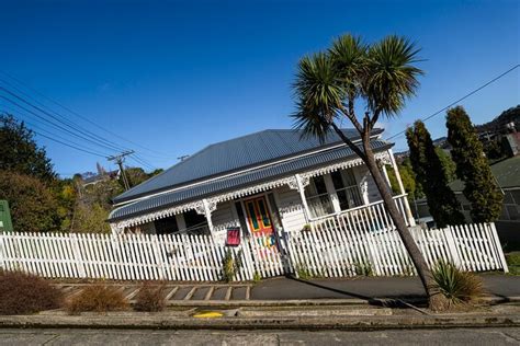 Cruise Ship Dunedin City and Castle Tour: A Relaxing Exploration of ...