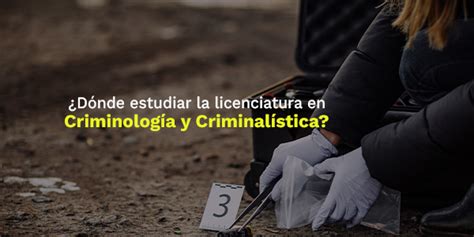 ¿dónde Estudiar La Licenciatura En Criminología Y Criminalística