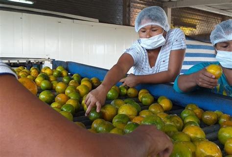 Productores De Naranja Se Preparan Para Reactivar Exportaci N Dia A Dia