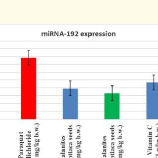 Effect of Balanites aegyptiaca seeds extract and Vitamin C on serum ...