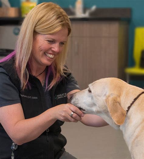 Our Hospital Wheat Ridge Animal Hospital