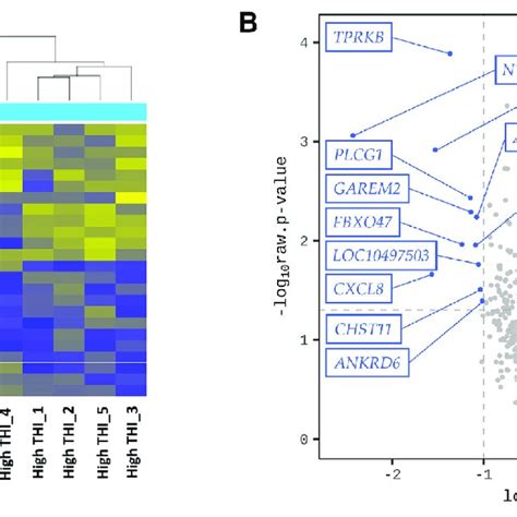 The Hierarchical Clustering Analysis And Volcano Plot For The Download Scientific Diagram