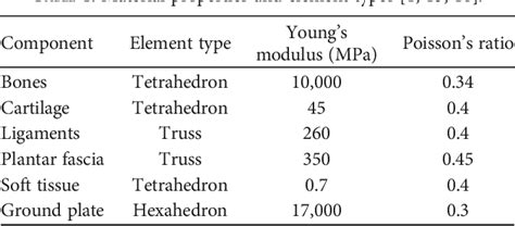 Table From Biomechanical Analysis Of Footankle Complex During