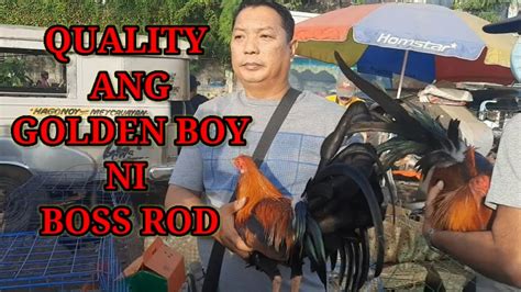 Tianggean Ng Mga Manok Sa Bocaue Youtube