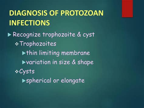 SOLUTION Parasitology Intestinal And Urogenital Protozoa Studypool