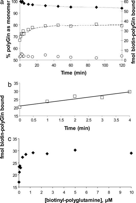 Time And Concentration Dependence Of Biotinyl Q29 Binding To Q47