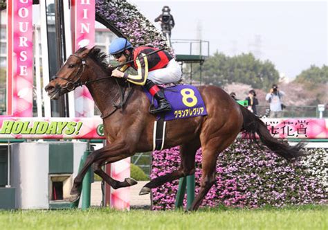 【桜花賞】グランアレグリアは「普通の馬と違う」体重減覚悟の朝日杯fs、プラス6キロで3着 G1ヒストリア 競馬コラム 日刊スポーツ