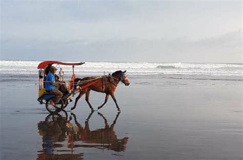 Pesona Pantai Parangtritis Jogja Lokasi Fasilitas Dan Harga Tiket