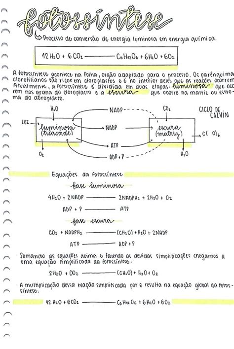 Fotoss Ntese O Que Como Acontece Resumo E Etapas