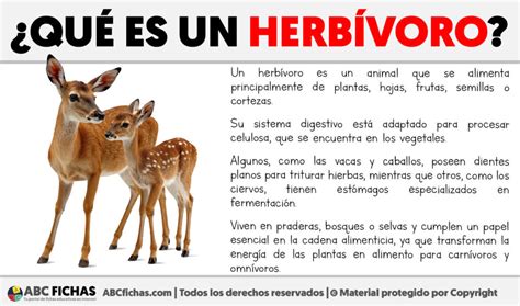 O Que Significa Herbívoro - 6