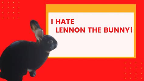 I HATE LENNON THE BUNNY!🐇🐰 - YouTube