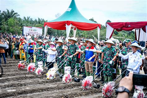 Dukung Ketahanan Pangan Nasional Phr Tni Ad Sinergi Olah Hektar