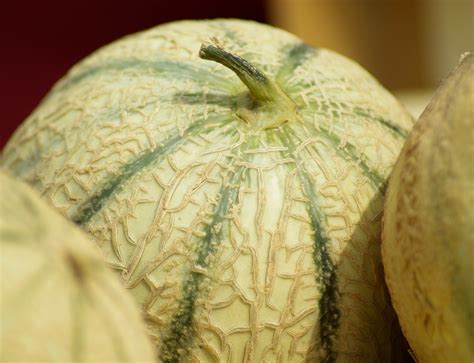 Free Images Fruit Flower France Food Produce Vegetable Market