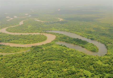 Narcos arrasan con la reserva del Río Plátano en Honduras Diálogo