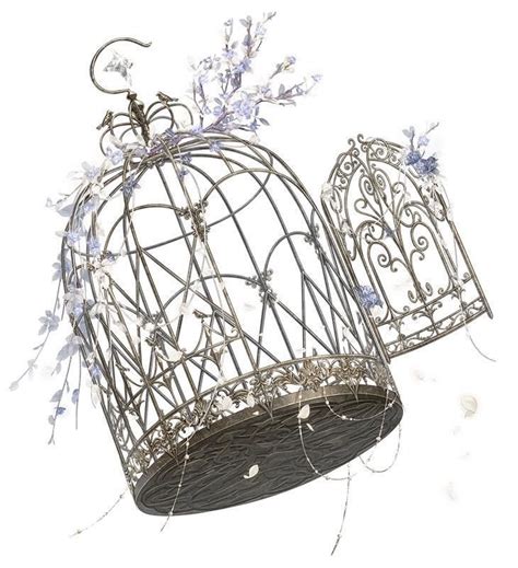 A Birdcage With Flowers Hanging From It S Side And Another Bird In The