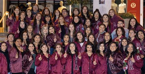 Lambda Theta Alpha - Fraternity & Sorority Life