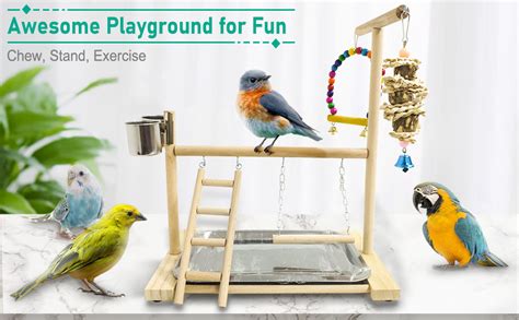 Amazon Hamiledyi Bird Playground Parrots Play Stand Natural