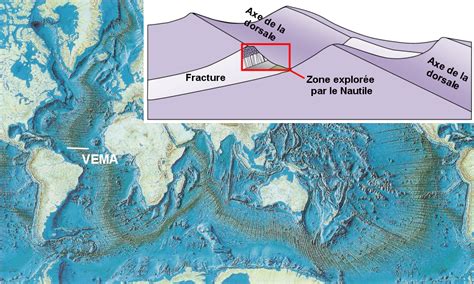 Tp N Des Indices D Un Raccourcissement Li Une Convergence Dans