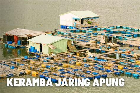 Keramba Jaring Apung Pengertian Dan Komponen Komponennya