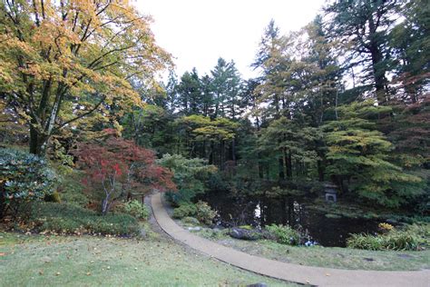 Free Images Tree Trail Villa Leaf Flower Pond High Autumn