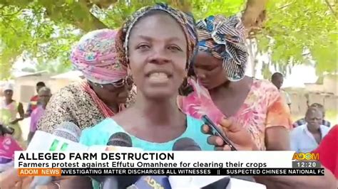 Alleged Farm Destruction Farmers Protest Against Effutu Omanhene For