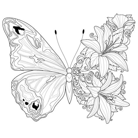 Imagenes Y Dibujos Para Colorear Dibujo De Mariposa Para Imprimir Y | Sexiz Pix