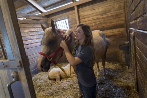 Animal Science — Academics — Penn State College of Agricultural Sciences