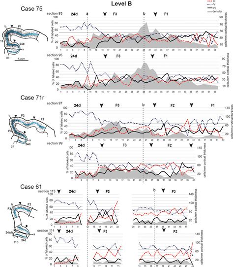 Percent Laminar Distribution And Density Of The Retrograde Labeling In