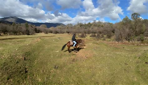 Passeggiate A Cavallo Anzio A Partire Da 30 Freedome