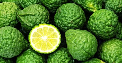 New Paper: Review of the citrus fruit Bergamot for lowering cholesterol ...