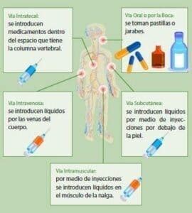 Qu Es La Quimioterapia Tipos De Quimioterapia