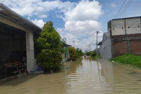 Banjir Landa Tiga Kecamatan Di Gresik Akibat Tanggul Jebol Antara News