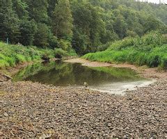 Der Fluss Ohne Wasser Wanderung Zur Donauversickerung