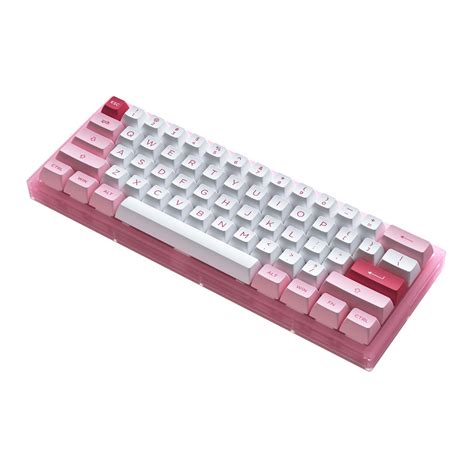 Bàn phím cơ AKKO ACR61 Pink Hotswap RGB AKKO CS sw Jelly Pink