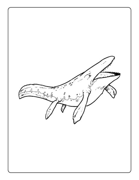 Pages De Coloriage De Dinosaures Pour Les Enfants Avec Différents Types