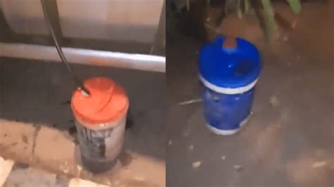 Caught On Cam Man Catches Miscreants Stealing Petrol From Government