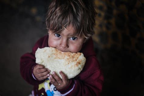 WFP Calls for Sustained Access to Gaza