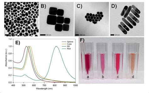 Characterization Of Gold Nanoparticles TEM Images Of Gold